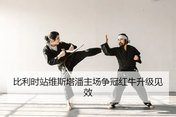 bi-li-shi-zhan-wei-si-ta-pan-zhu-chang-zheng-guan-hong-niu-sheng-ji-jian-xiao-2-439.jpg